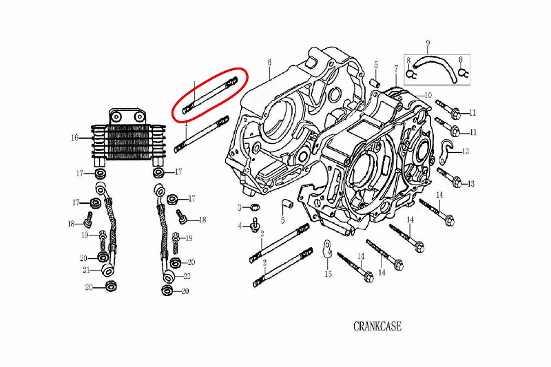 Zongshen Z-1125cc󥸥ѥåɥܥ B NO8658 - ɥĤ